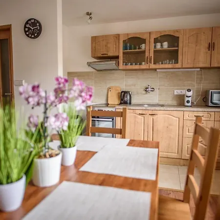 Slavikov Apartmán *