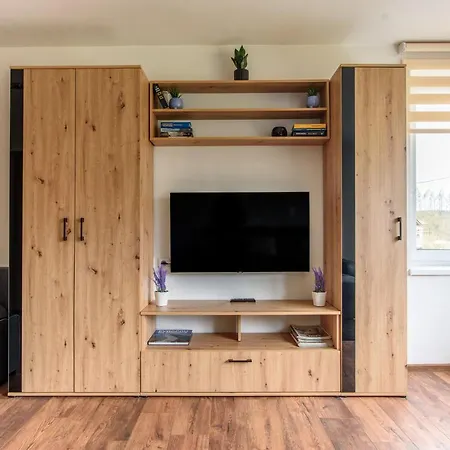 Slavikov Apartament